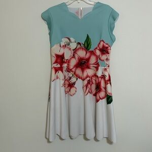 EUC Ted Baker Floral Dress with Blue and Red Accents Size 12 (4)